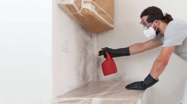 Professional Basement Mold Remediation technician working in Buford, GA