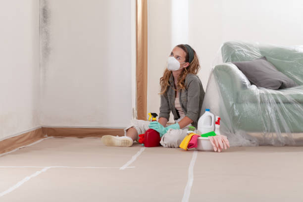 Reliable Basement Mold Remediation contractor in Buford, GA by 24 Hour Mold Removal